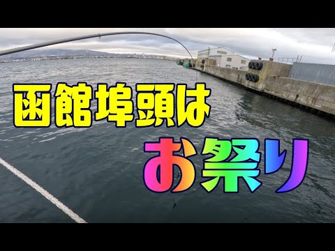【釣り】函館埠頭はお祭り