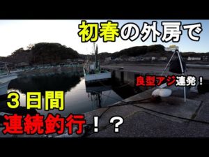 【千葉県某所】初春の外房で3日間連続釣行！？春の巨大〇〇を求めて関東地方の房総半島の太平洋側に面した釣り場で釣りしてみたら、良型アジが連発したけれど、まさかの衝撃的な展開に…！【2023年3月中下旬】