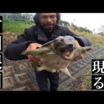 【バス釣り】箱の中身はなんだろな⁉︎バス釣りしてたら巨大モンスター現る！【スッポン】