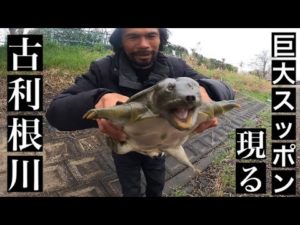 【バス釣り】箱の中身はなんだろな⁉︎バス釣りしてたら巨大モンスター現る！【スッポン】