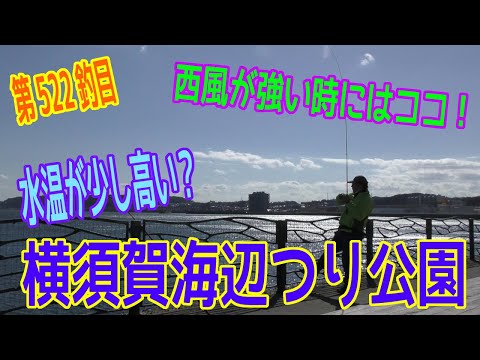 釣り動画ロマンを求めて 522釣目（横須賀海辺つり公園）