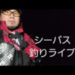 シーバス釣りライブ