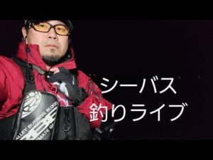 シーバス釣りライブ