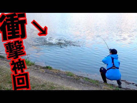 春のバス釣り陸っぱり釣り芸人が最高記録を叩き出した衝撃の神回コラボ！