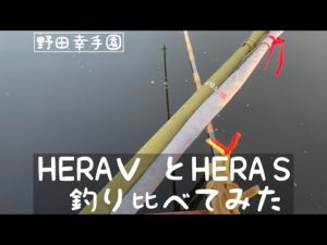 期待の新竿 HERA VとHERA S 釣り比べてみました
