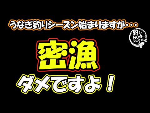 うなぎ釣りシーズン始まりますが密漁はダメですよ。