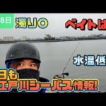 【雨の釣り】今朝の旧江戸川シーバス情報!
