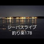 シーバスライブ【釣り楽178】