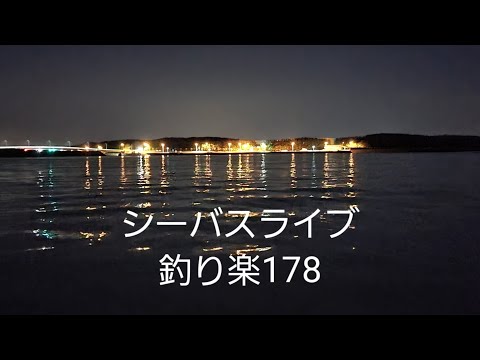 シーバスライブ【釣り楽178】