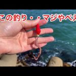 最強の釣り仕掛けを教えます。根魚。磯テトラ。いわき。