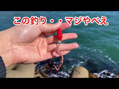 最強の釣り仕掛けを教えます。根魚。磯テトラ。いわき。