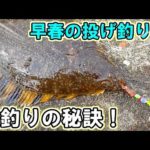早春の日本海で投げ釣り！カレイの数釣りを堪能する！【留萌管内　投げ釣り】