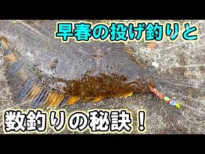 早春の日本海で投げ釣り！カレイの数釣りを堪能する！【留萌管内　投げ釣り】