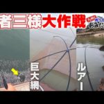 有明海全ソロ全力捕獲作戦開始‼