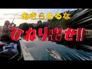 【かかり釣り】朝一番からチヌfever！？になる予定が・・・