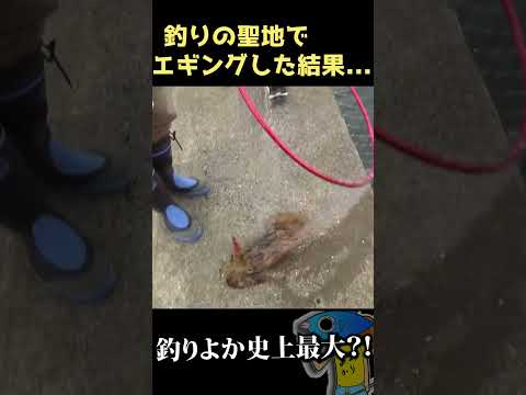 【とんでもない大きさ!!】釣りの聖地でエギングした結果... #shorts