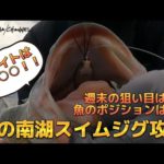 【琵琶湖バス釣り】3/17現在週末の狙い目はココ！春の南湖スイムジグ攻略！！【バスフィッシング】