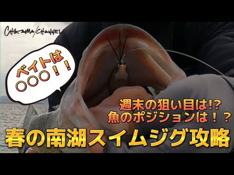 【琵琶湖バス釣り】3/17現在週末の狙い目はココ！春の南湖スイムジグ攻略！！【バスフィッシング】