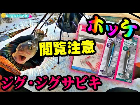 【釣り】北海道ホッケ・閲覧注意・立入禁止・ジグ・ジグサビキ・初心者解説：2023年