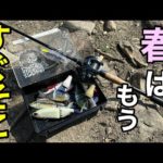 【３月】春はもうすぐそこ。【ビッグベイト】【バス釣り】