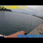 エギングの時間＃33  1時間縛りで大型釣ります。