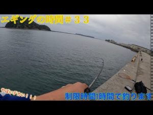 エギングの時間＃33  1時間縛りで大型釣ります。