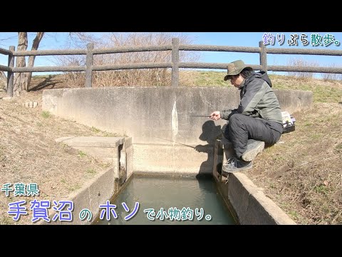 千葉県 手賀沼のホソで小物釣り。大人気の手賀沼のホソで何釣れる？