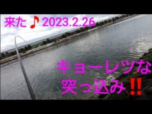 2023.2.26  エビ撒き釣り 楽しんだ一瞬