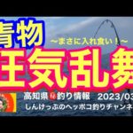【高知県㊙️釣り情報】まだまだ爆釣モード連チャン中！