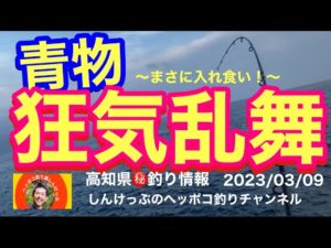 【高知県㊙️釣り情報】まだまだ爆釣モード連チャン中!