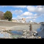 秦野市 水無川で小物釣り。水の無い水無川でも釣れる場所はありました♪