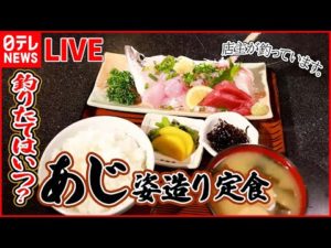 【定食まとめ】新鮮プリプリの名物釣りアジ/ズッシリ特大サイズの餃子定食/アイデア店主のポテサラとんかつなど（日テレNEWS LIVE）