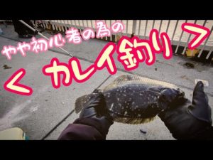 北海道 やや初心者の為のカレイ釣り 3月はカレイの季節★