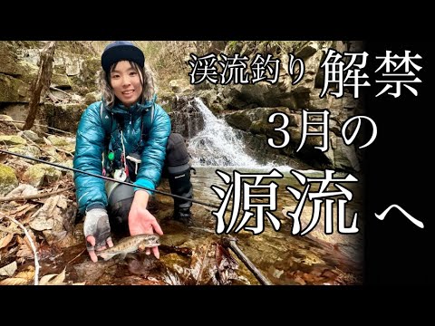 渓流釣り解禁!3月の源流でヤマメを釣り、イノシシ鍋を食べる【テンカラ釣り】
