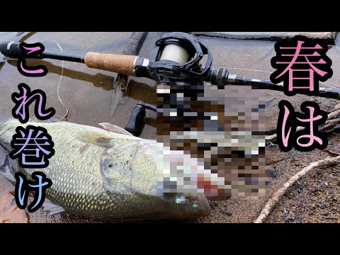 春は絶対投げたほうがいいルアー。みんな北九州釣り博行く？