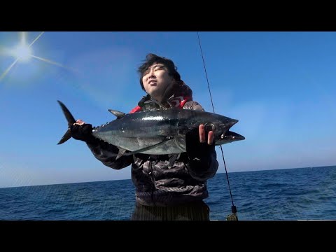 【本当は教えたくない】マズイと言われてるマグロの最強にうまい刺身の食べ方教えます。