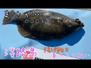 【投げ釣り】淡路島カレイ狙い編…春カレイの○○○キャッチ