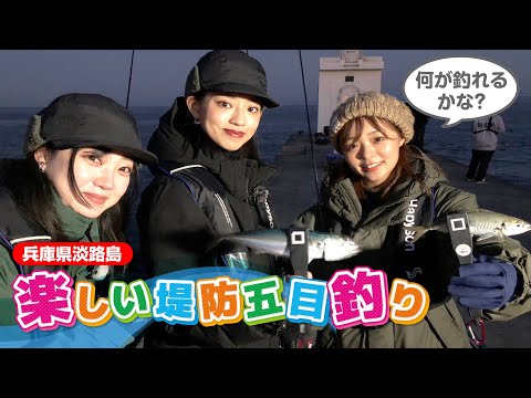 淡路島の堤防で五目釣りを楽しむ【ガッ釣り関西189】