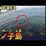 寒チヌ狙いのフカセ釣り！○○ダイが釣れた！ in 岡山県下津井沖