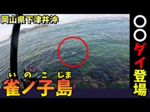 寒チヌ狙いのフカセ釣り!○○ダイが釣れた! in 岡山県下津井沖
