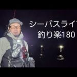 シーバスライブ【釣り楽180】