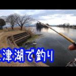 江津湖でバス釣り【熊本】