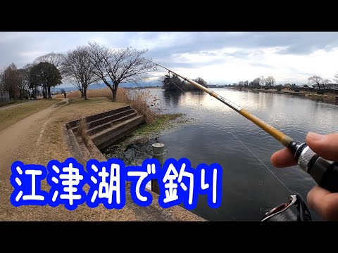 江津湖でバス釣り【熊本】