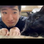 ついて来てと言う猫ちゃんの『黒ちゃん』お披露生放送
