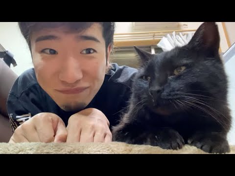 ついて来てと言う猫ちゃんの『黒ちゃん』お披露生放送