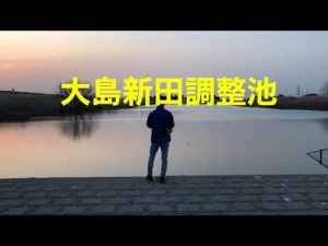 埼玉バス釣りポイント　幸手　大島新田調整池