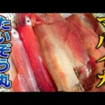 たいぞう丸・神奈川県葉山あぶずり港・マルイカ【釣りビジョン マガジン】