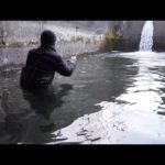 アルプス用水路の″行き止まり″には『ヌシ』がいる