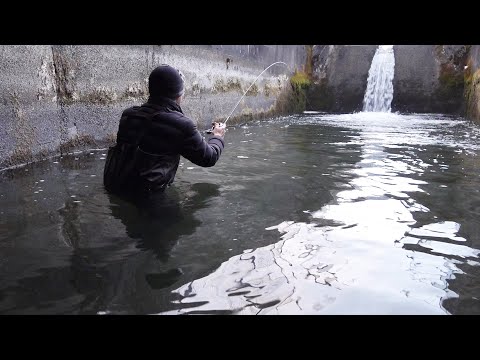 アルプス用水路の″行き止まり″には『ヌシ』がいる