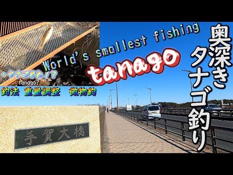 【タナゴ釣り】世界最小の釣りが日本のタナゴ釣りらしいよ　釣りして手賀沼スポットも紹介しちゃうやつ